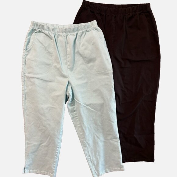 D & Co Pants - D&Co Women’s Pull-On Capri Pants Mint Green & Black Casual Weekend L